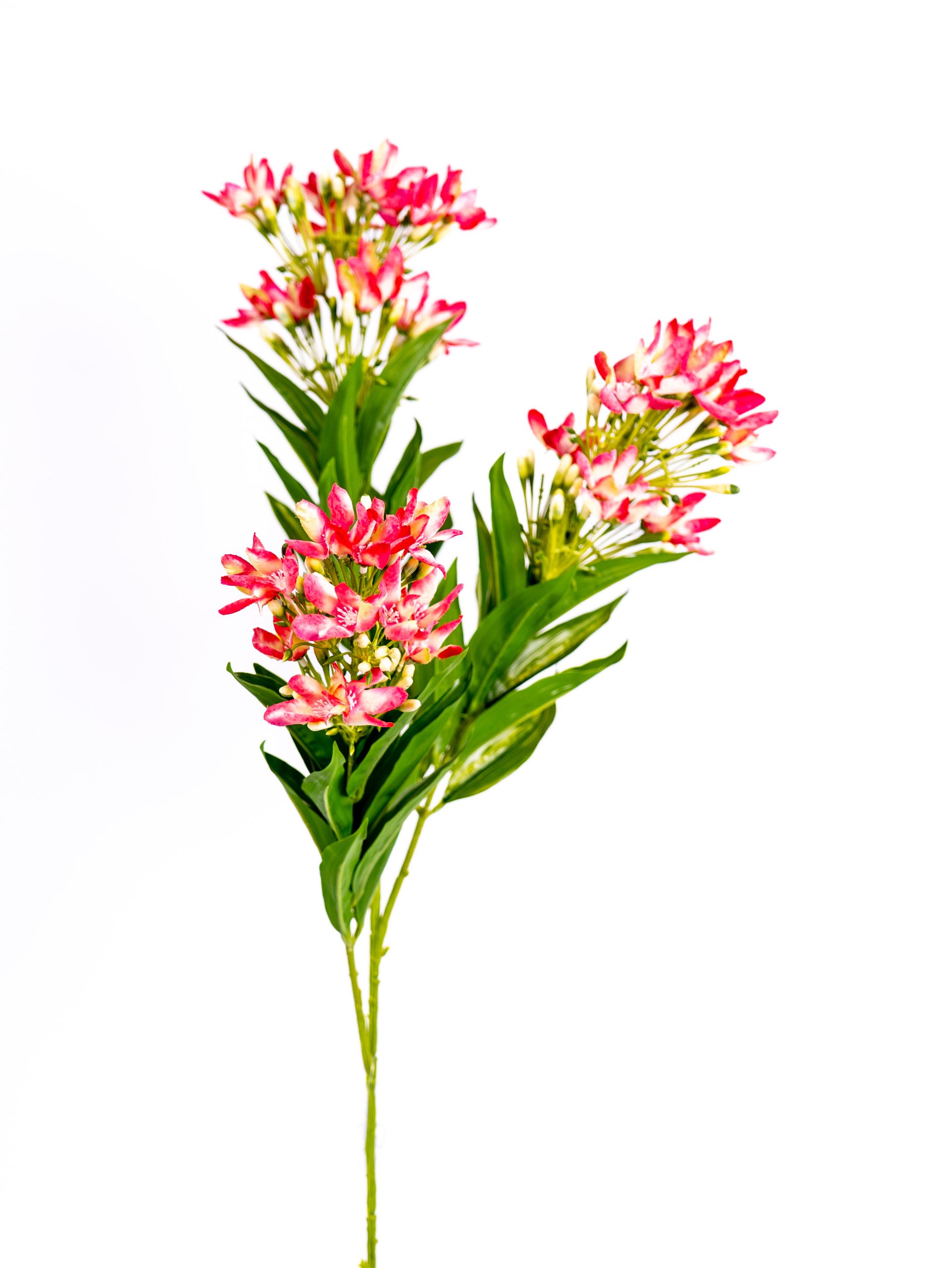 פרחי משי אלמון הודי גובה 90 ס"מ פרחי מיה אריה שנקר 35 חולון