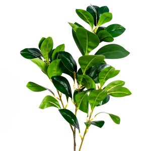 ענף משי רוסקוס מחיר