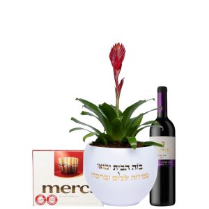 ספיישל חנוכת בית מושלם: עציץ וריסיה בכלי קרמיקה עם ברכת הבית, בקבוק יין איכותי ושוקולד מרסי מפנק. מתנה ייחודית ומלאת משמעות