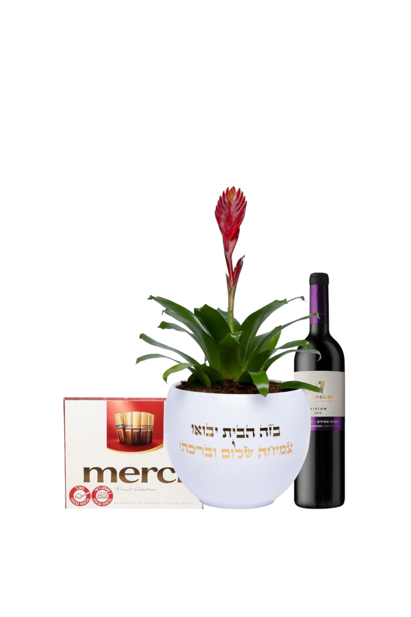 ספיישל חנוכת בית מושלם: עציץ וריסיה בכלי קרמיקה עם ברכת הבית, בקבוק יין איכותי ושוקולד מרסי מפנק. מתנה ייחודית ומלאת משמעות