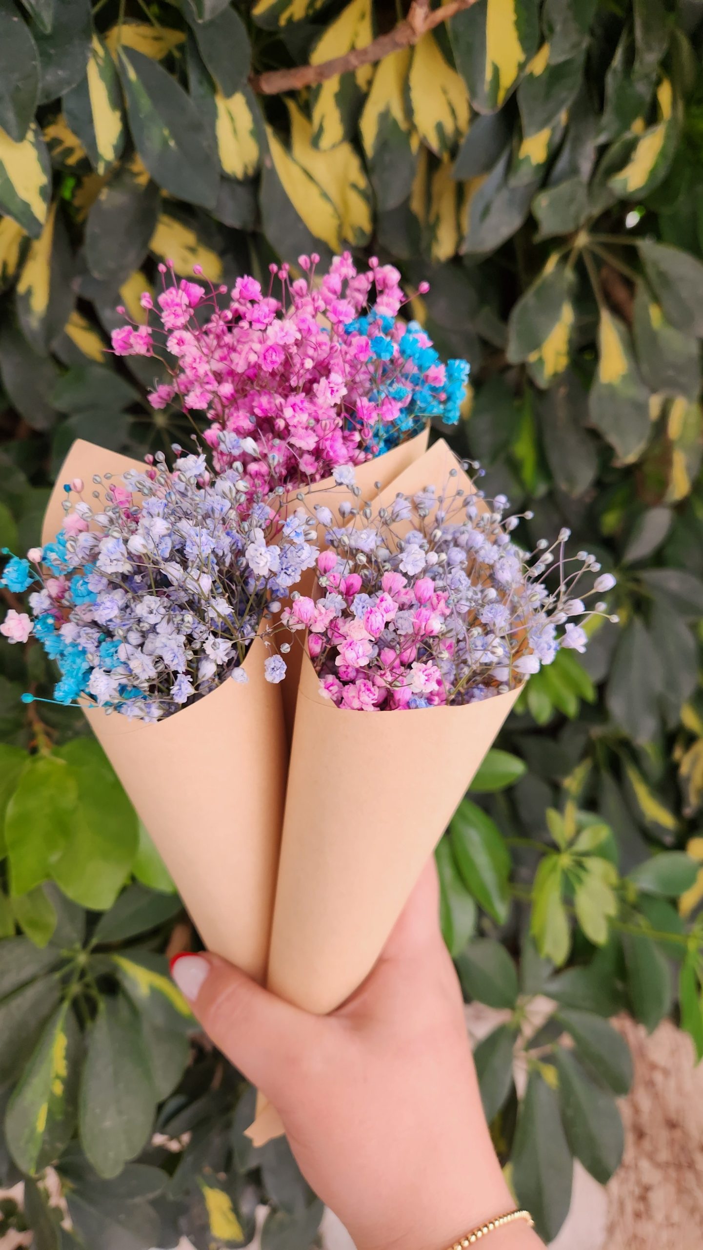 יד אוחזת שלושה זרי פרחי גבס צבעוניים (ורוד, כחול, סגול) עטופים בנייר חום, על רקע עלים ירוקים.