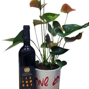בקבוק יין אדום עומד ליד עציץ עם פרחים ירוקים וורודים, העציץ לבן ועליו כתוב "ONE 20".