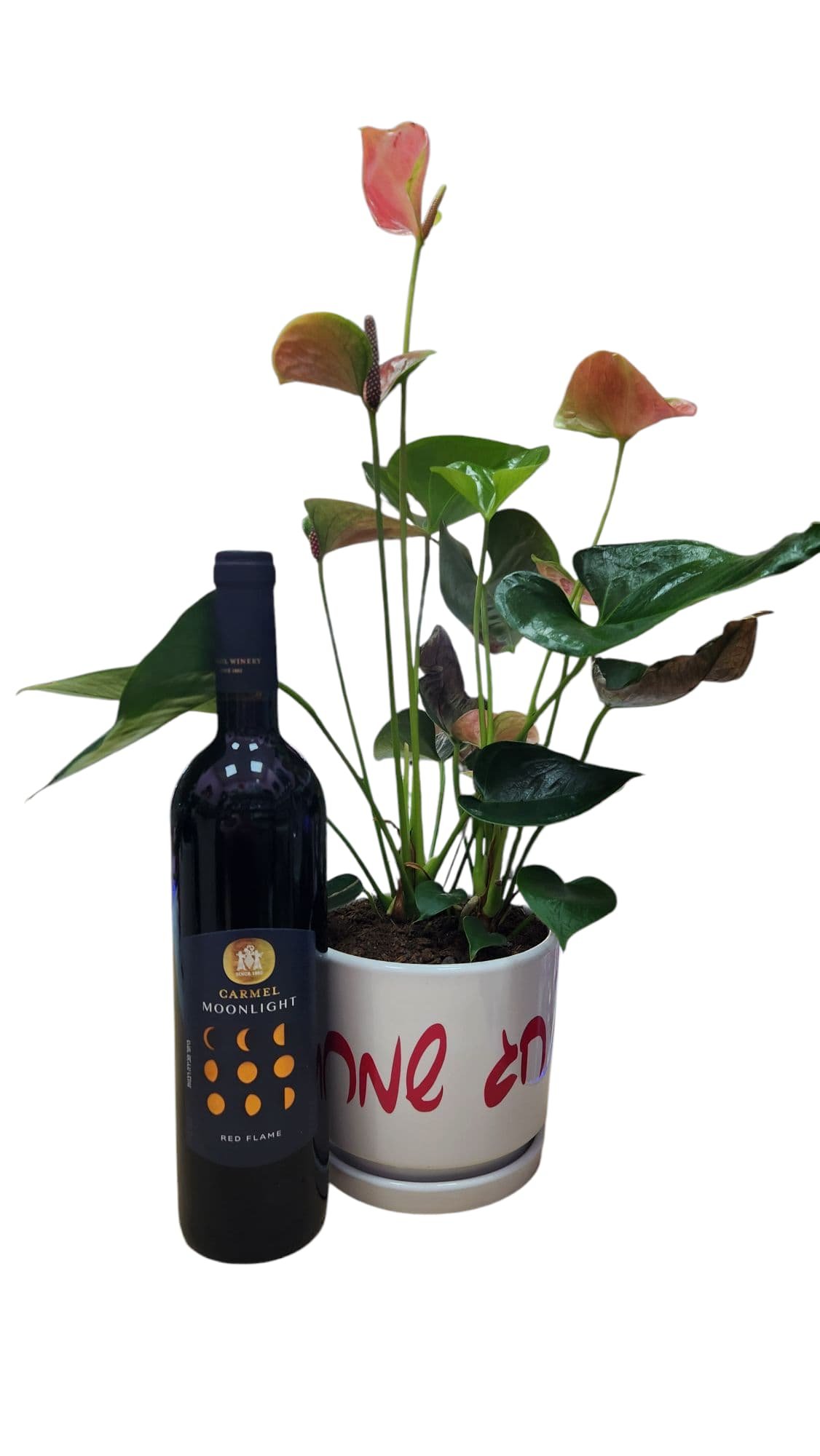 בקבוק יין אדום עומד ליד עציץ עם פרחים ירוקים וורודים, העציץ לבן ועליו כתוב "ONE 20".