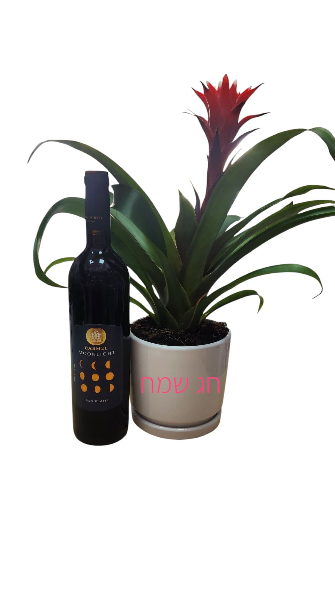 בקבוק יין אדום ליד עציץ עם פרח אדום, על העציץ כתוב "חג שמח" בכתב ורוד.