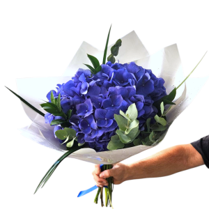 יד מחזיקה זר גדול של פרחי הידראנגאה כחולים עטופים בנייר לבן, עם עלים ירוקים וסרט כחול.