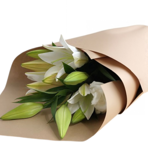 חבילת שושן צחור / ליליות - 10 ענפים מהודרים