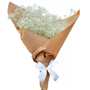 חבילת גיבסנית - נטו פרחים בעטיפה מהודרת