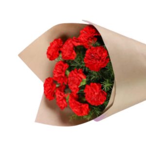 חבילת ציפורן אמריקאית - 10 פרחים טריים בעטיפה מהודרת