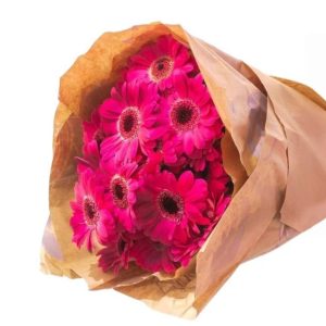 חבילת גרברה צבעוני - 10 ענפים בעטיפה מהודרת