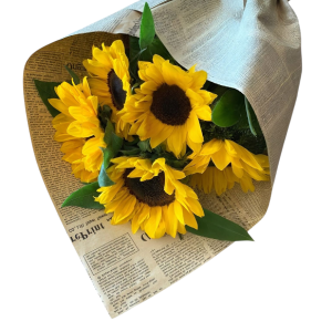 חבילת חמניות - 10 פרחים מלאי אור בעטיפה מהודרת