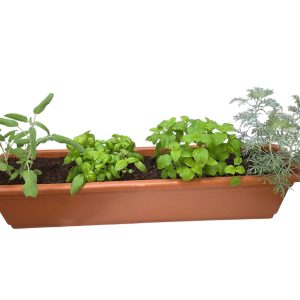 אדנית תבלינים - מתנה ירוקה ושימושית