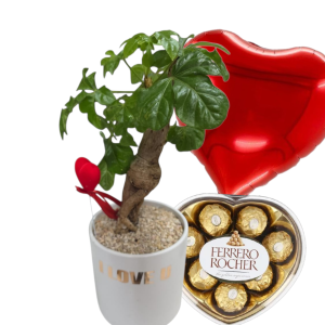 עץ אהבה עם שוקולד לב ובלון- ספיישל עץ האוהבים