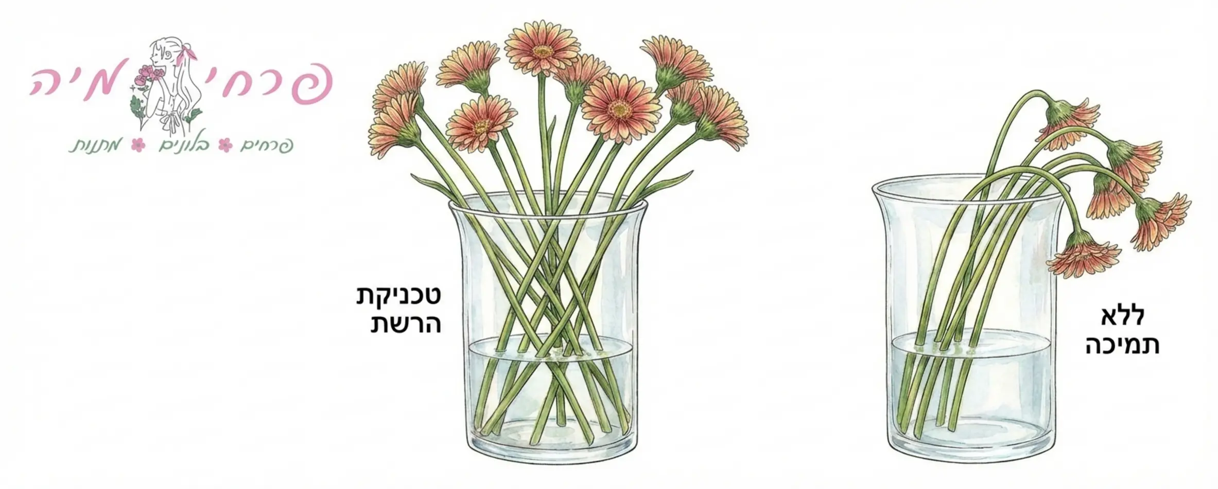 איור של טכניקת 'הרשת' בתוך אגרטל שקוף, המראה כיצד הגבעולים תומכים זה בזה באלכסון, לעומת אגרטל שבו כל הפרחים צונחים לאותו כיוון