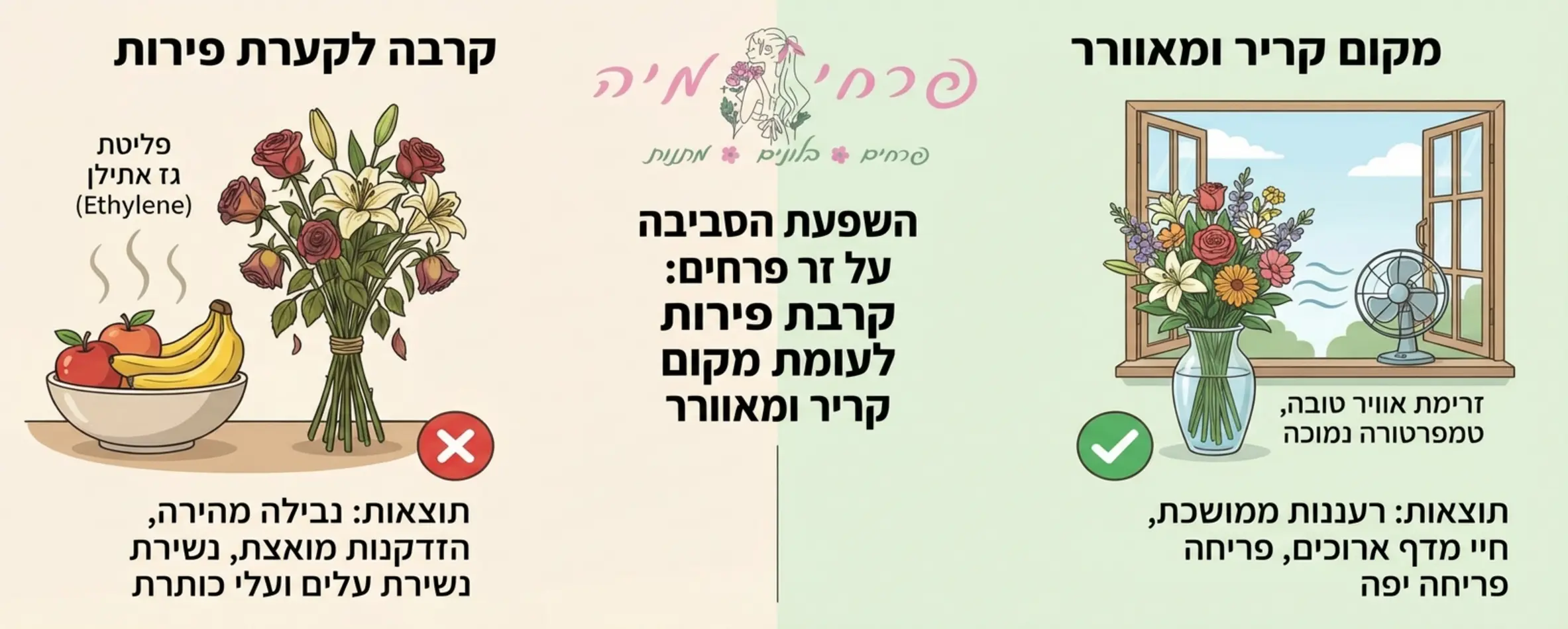 אינפוגרפיקה שמראה את ההשפעה השלילית של קערת פירות על זר פרחים לעומת זר פרחים שנמצא במקום קריר ומאוורר