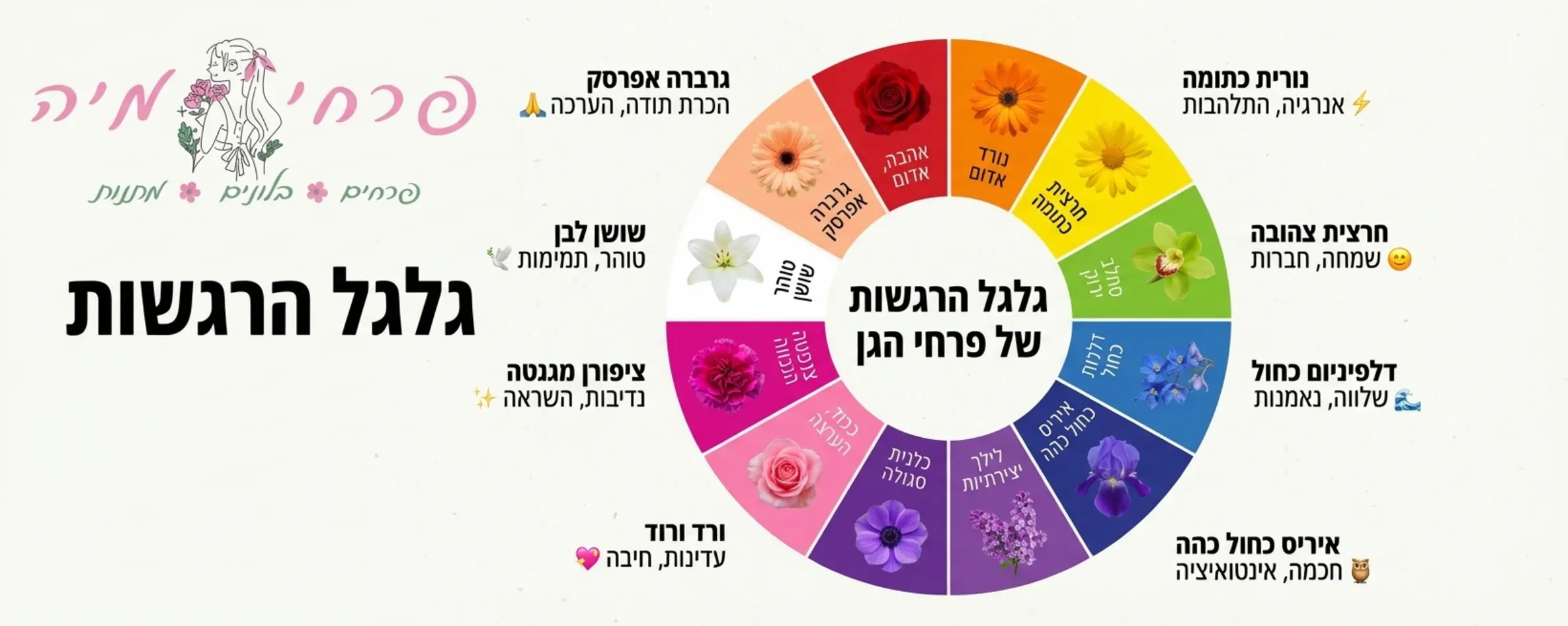 אינפוגרפיקה מקצועית המציגה את גלגל הצבעים של פרחים, כאשר לצד כל צבע מופיע תיאור קצר של הרגש שהוא מעורר לדוגמה אדום שווה אהבה וצהוב שווה חברות