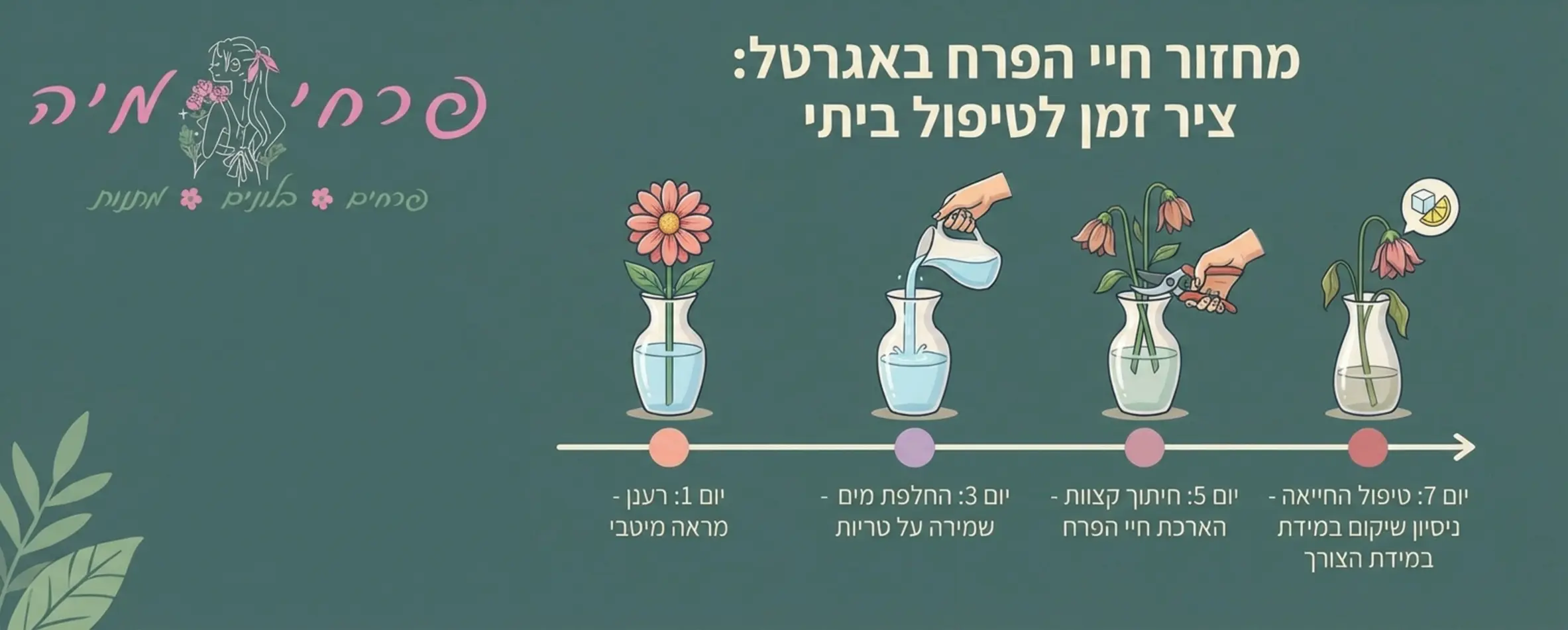 אינפוגרפיקה שמראה את ציר הזמן של חיי הפרח: יום 1 (רענן), יום 3 (החלפת מים), יום 5 (חיתוך קצוות), יום 7 (טיפול החייאה במידת הצורך)