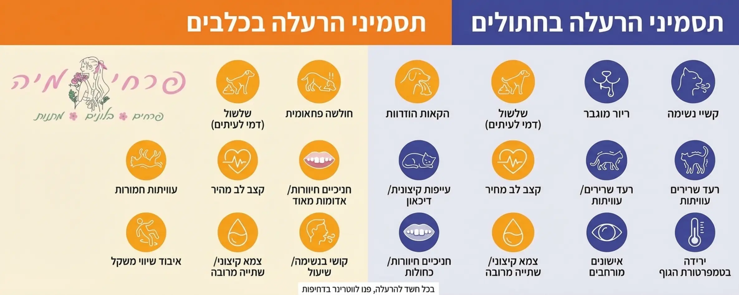אינפוגרפיקה מקצועית וברורה המחולקת לשני צדדים, צד ימין מציג תסמיני הרעלה אצל חתולים עם סמלים ברורים וצד שמאל מציג תסמיני הרעלה אצל כלבים