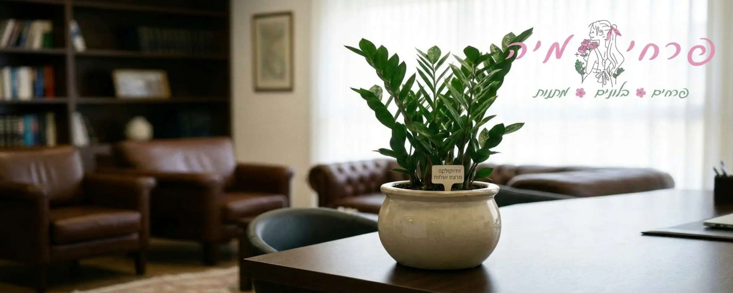 צילום תקריב של עציץ זמיוקולקס ירוק ורענן מונח על שולחן משרדי מעץ, כשרקע המשרד מטושטש קלות ומשדר יוקרה ורוגע