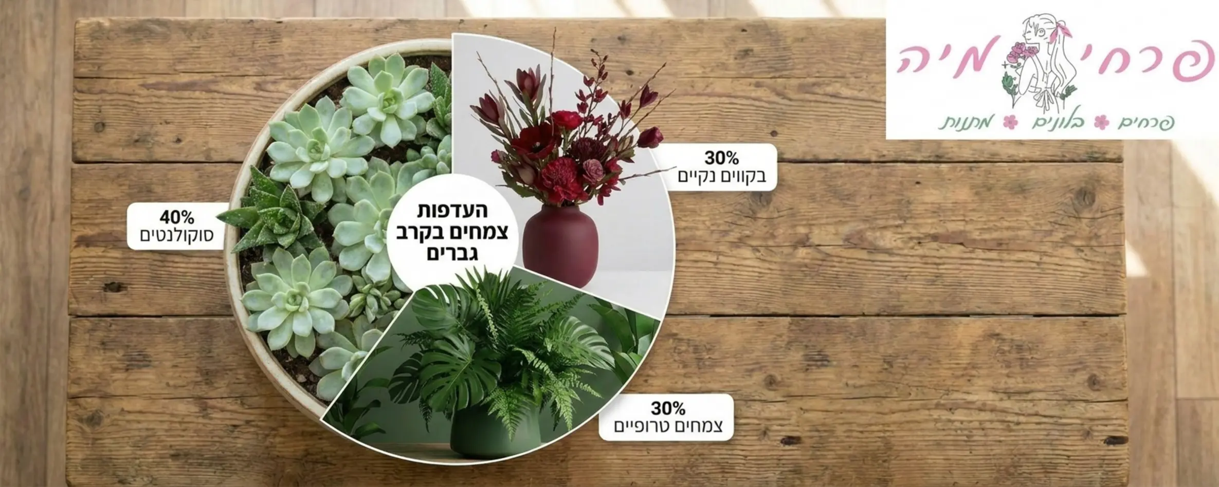 אינפוגרפיקה המציגה חלוקה של סוגי צמחים המועדפים על גברים מחולקת לאחוזים ארבעים אחוז סוקולנטים בצבע ירוק בהיר שלושים אחוז צמחים טרופיים בירוק כהה ושלושים אחוז זרים בקווים נקיים בצבע בורדו