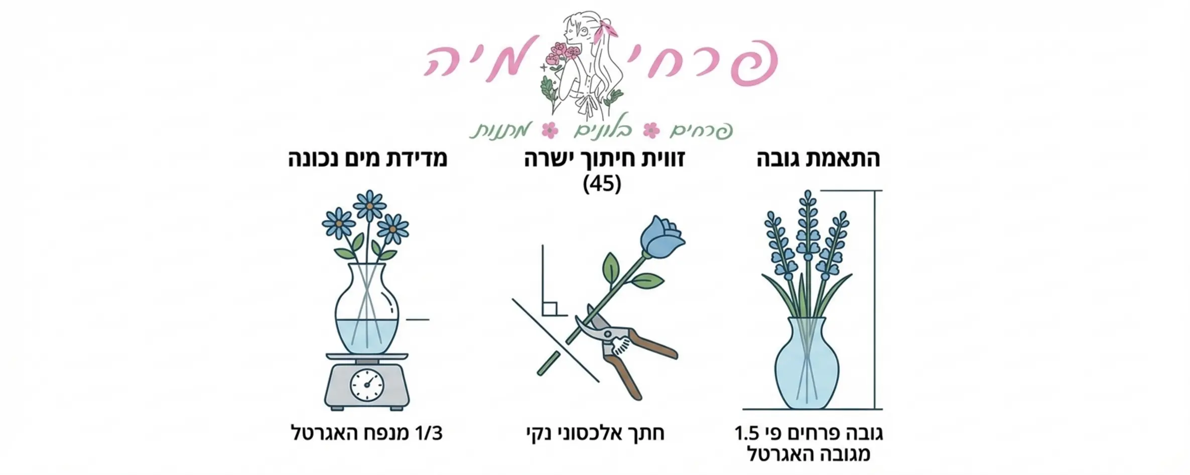 סדרת איורים מינימליסטית המדגימה שלב אחר שלב כיצד למדוד נכון את כמות המים באגרטל, כיצד לבצע את זווית החיתוך הישרה בתחתית הגבעול, ואת ההתאמה הנכונה בין גובה האגרטל לגובה הפרחים