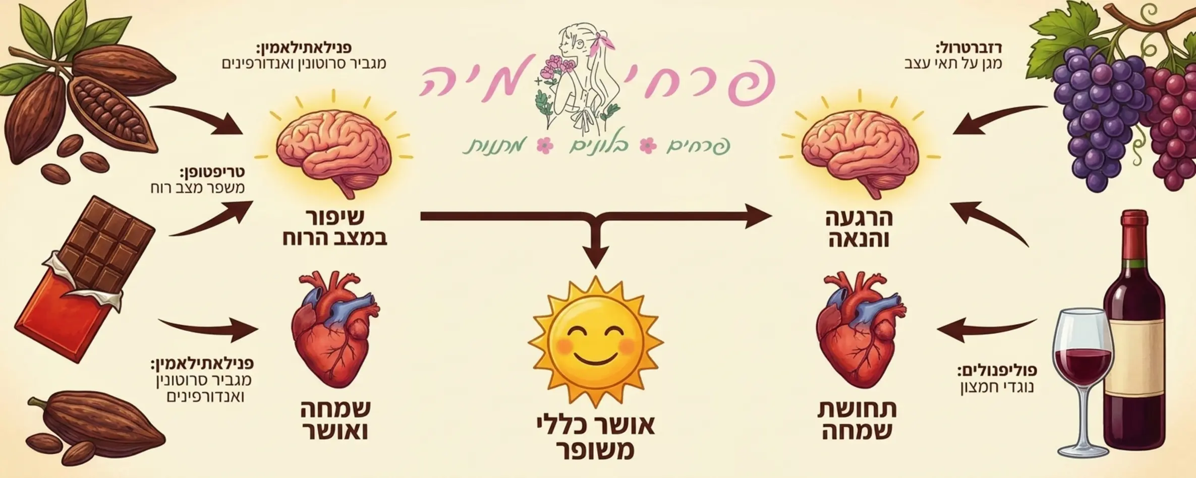 אינפוגרפיקה המציגה את ההשפעות החיוביות של שוקולד ויין על מצב הרוח, כולל איורים של פולי קקאו וענבים עם חיצים המצביעים על עלייה ברמות האושר והשמחה