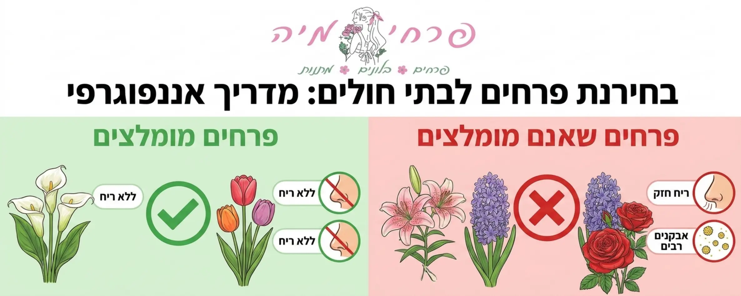 אינפוגרפיקה המציגה את ההבדל בין פרחים מומלצים לבתי חולים ללא ריח לבין פרחים בעלי אבקנים וריח חזק שאינם מומלצים בצירוף סמלים של וי ירוק ואיקס אדום