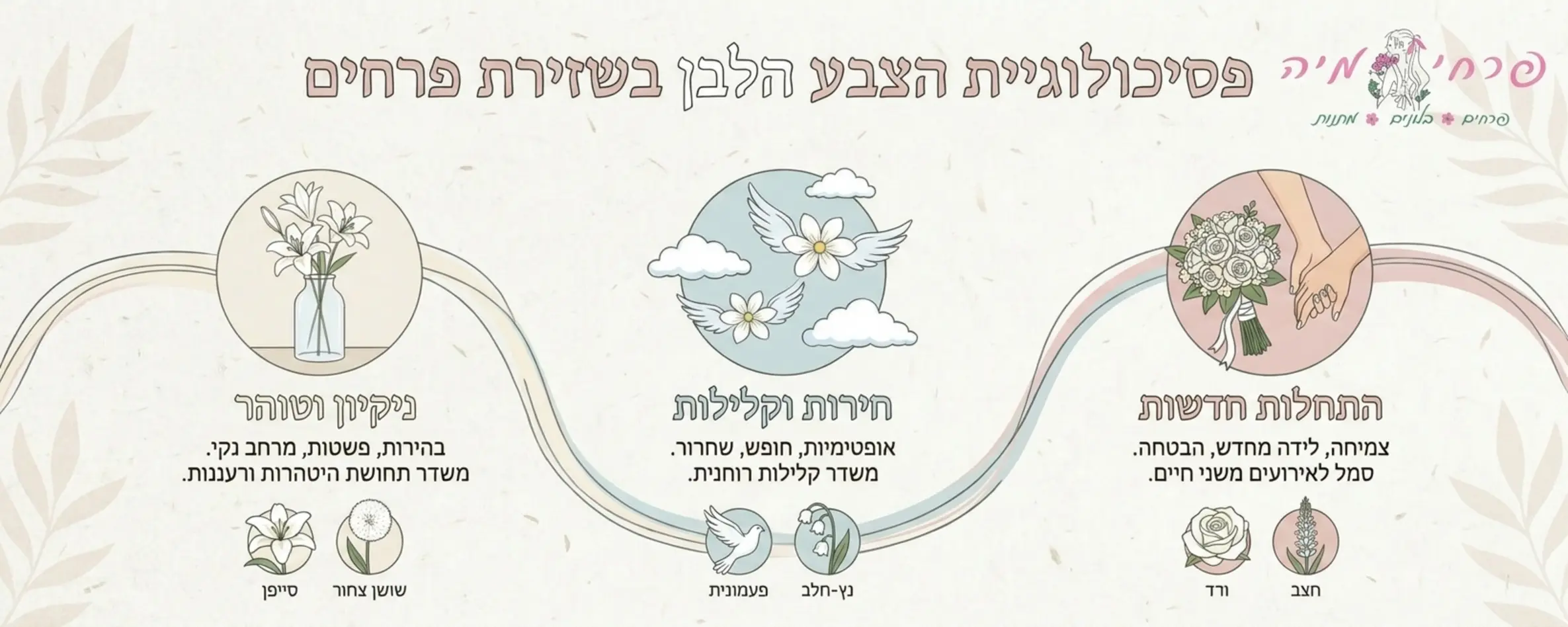 אינפוגרפיקה מעוצבת בצבעי פסטל רכים המסבירה את פסיכולוגיית הצבע הלבן בשזירת פרחים, עם דגש על סמליות של ניקיון, חירות והתחלות חדשות, כולל איורים של סוגי צמחים לבנים נפוצים בארץ