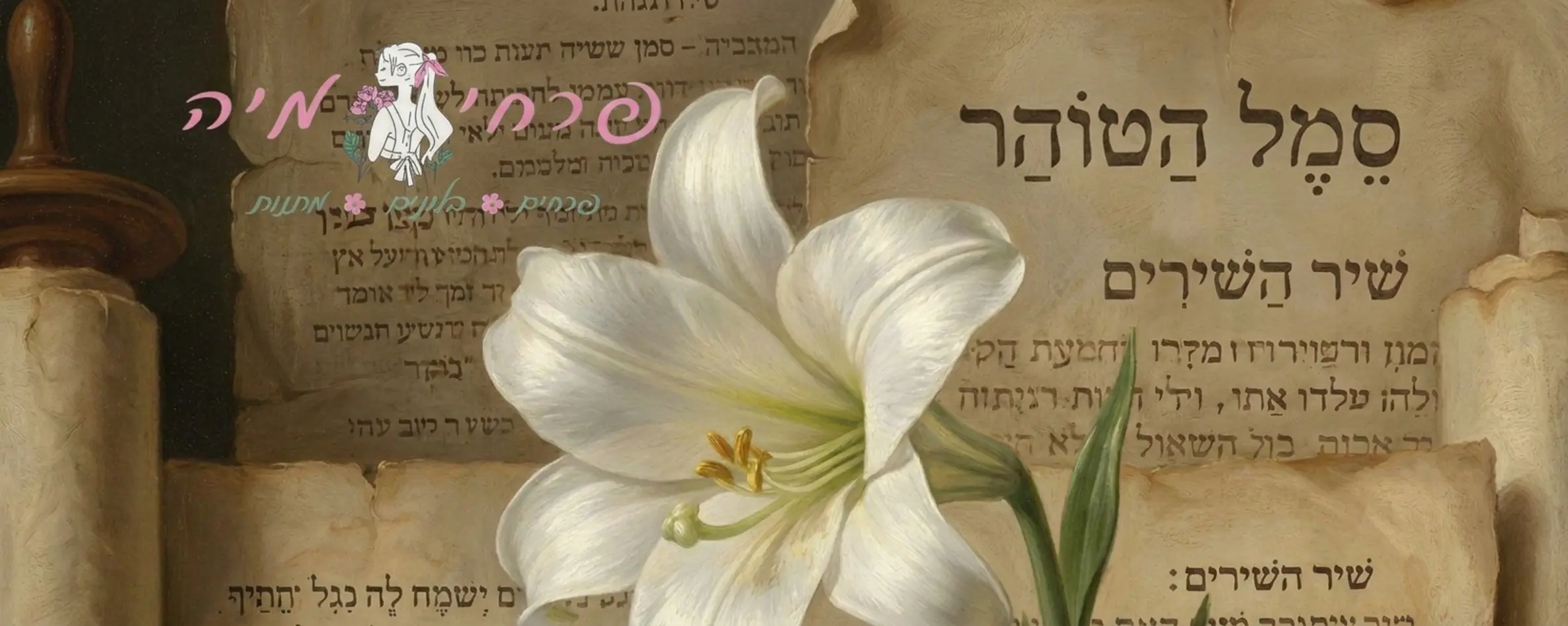איור היסטורי בסגנון קלאסי המציג שושן צחור כסמל לטוהר, עם רקע של מגילות עתיקות ואור רך הנופל על עלי הכותרת הלבנים