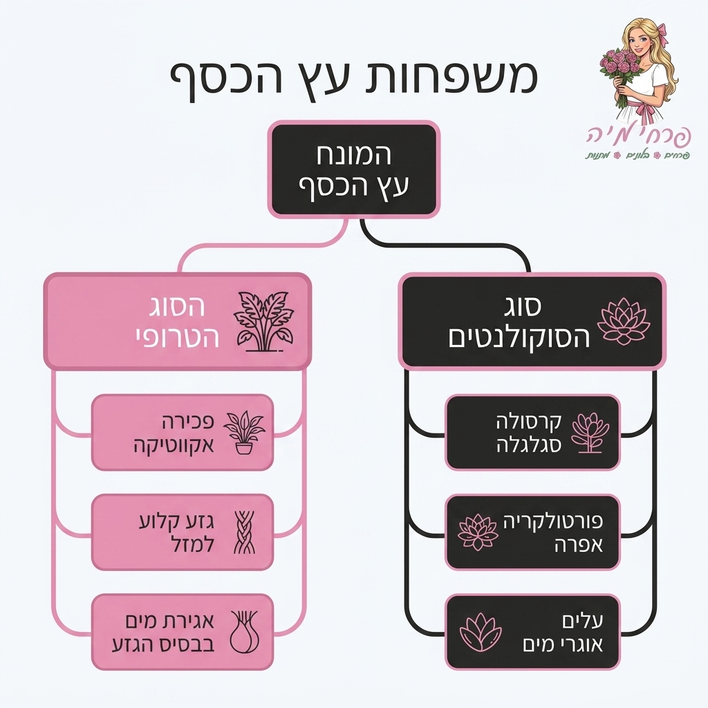אינפוגרפיקה