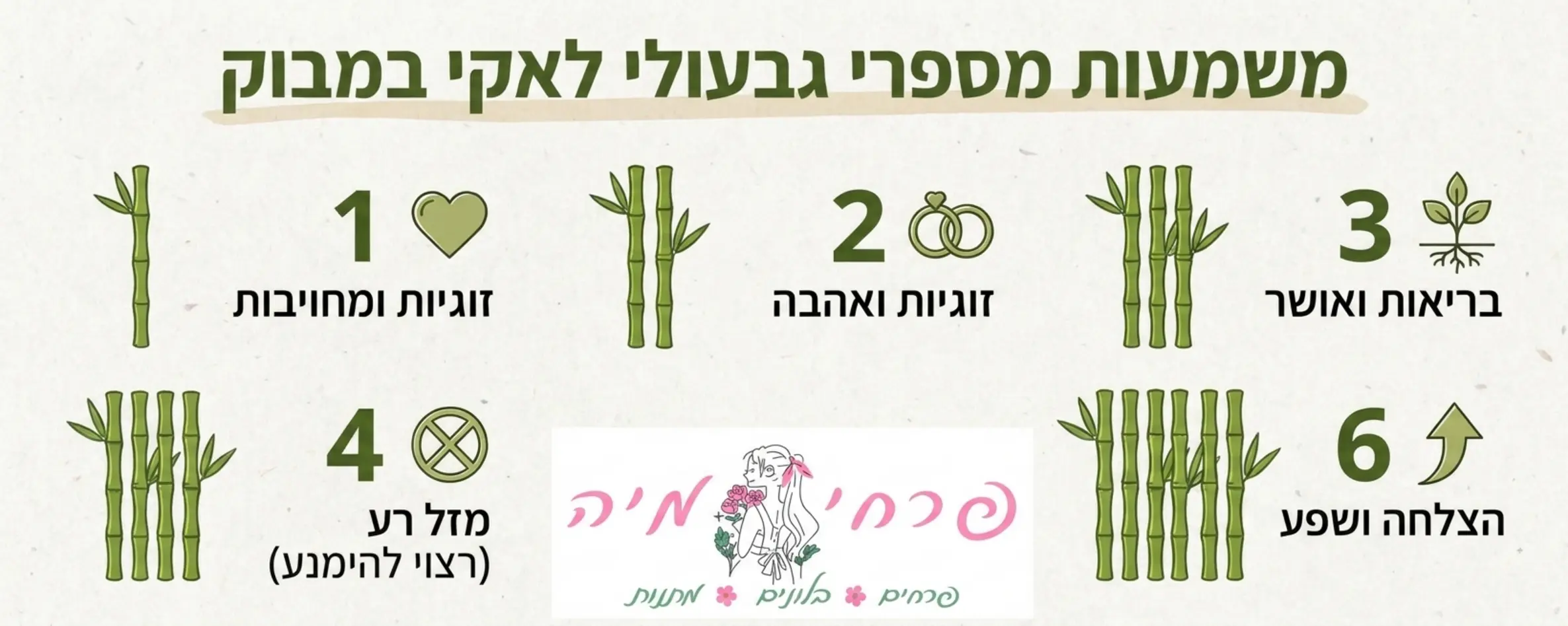 אינפוגרפיקה מעוצבת המציגה את מספרי הגבעולים של הלאקי במבוק מ1 עד 9, כאשר ליד כל מספר מופיע אייקון קטן והסבר קצר על המשמעות שלו כמו זוגיות, בריאות, עושר והצלחה