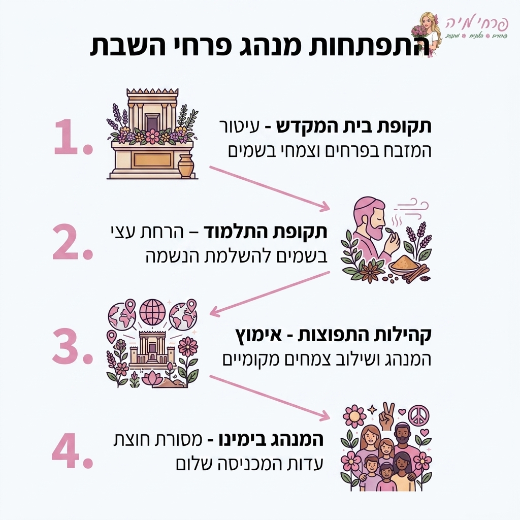 אינפוגרפיקה