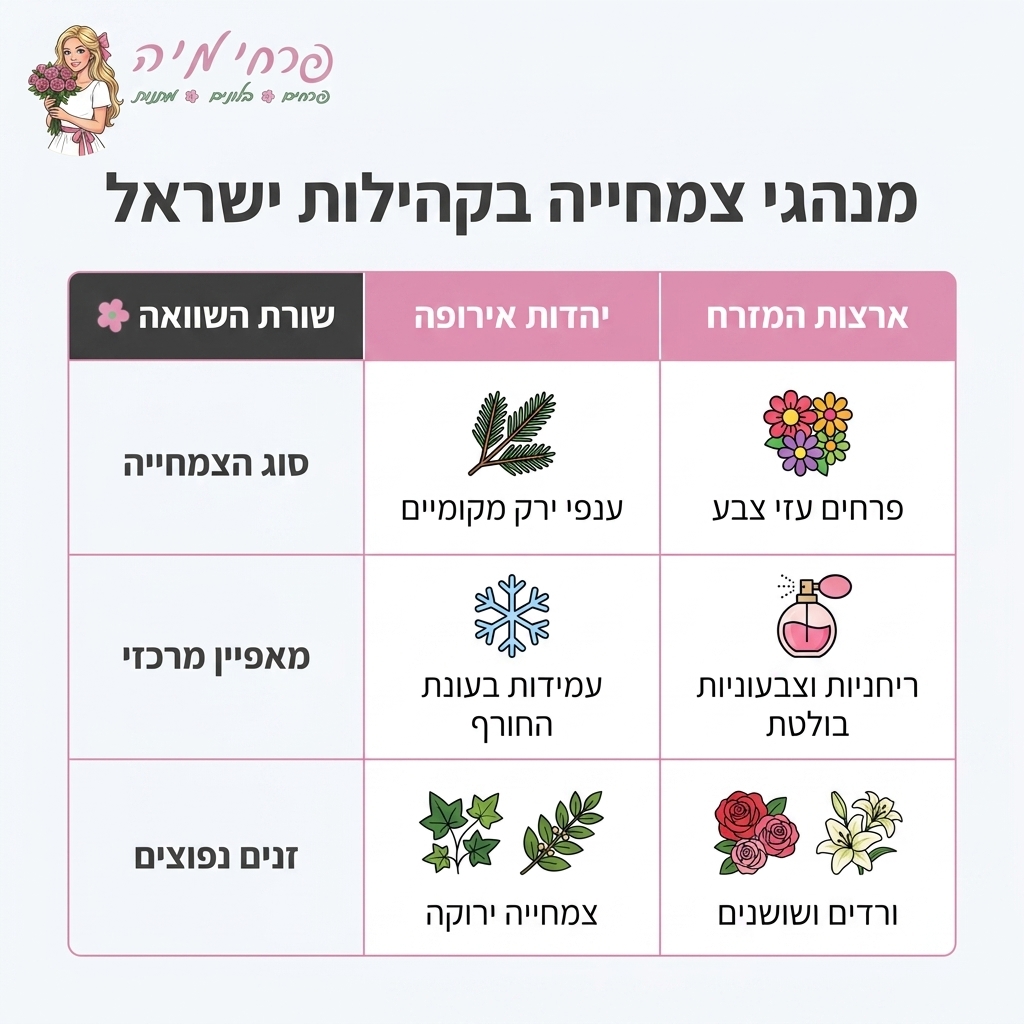 אינפוגרפיקה