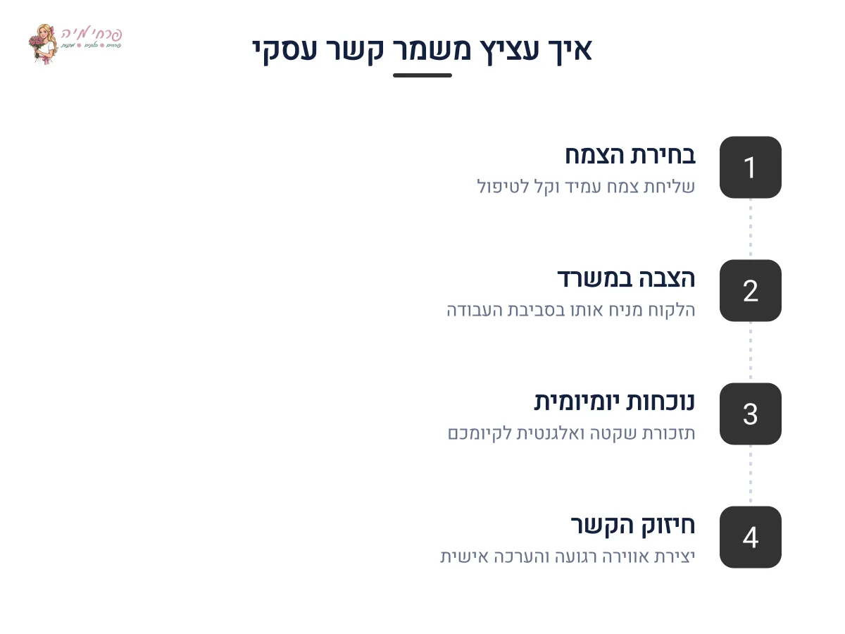 אינפוגרפיקה — איך עציץ משמר קשר עסקי: בחירת הצמח, הצבה במשרד, נוכחות יומיומית, חיזוק הקשר