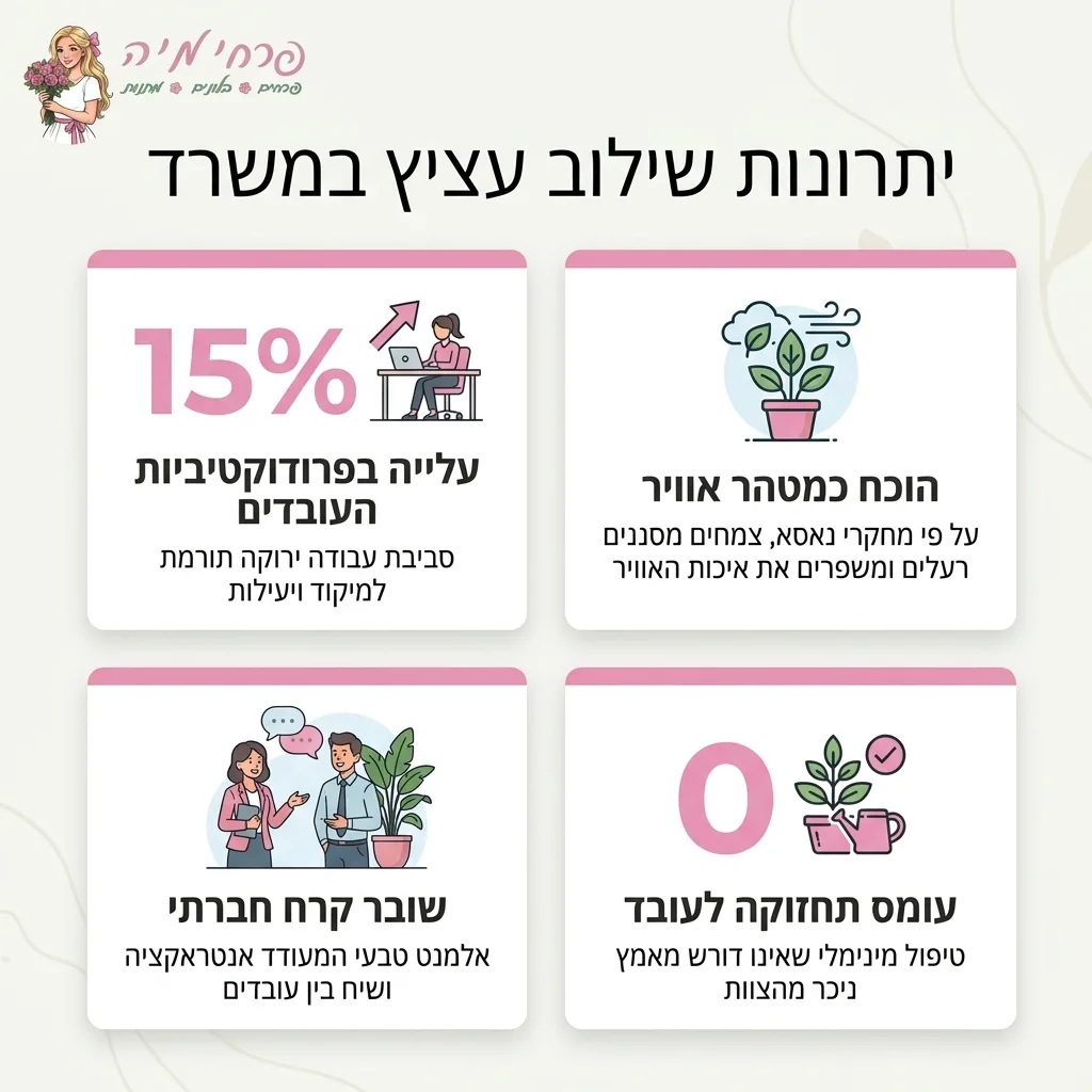 אינפוגרפיקה — יתרונות שילוב עציץ במשרד: עלייה בפרודוקטיביות העובדים, הוכח כמטהר אוויר, שובר קרח חברתי, עומס תחזוקה לעובד