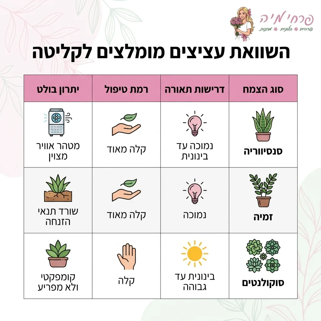 אינפוגרפיקה — השוואת עציצים מומלצים לקליטה: השוואה בין סנסיווריה, זמיה, סוקולנטים